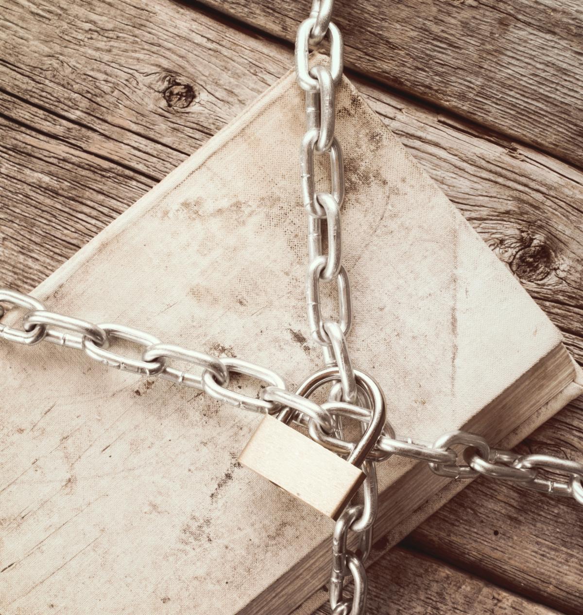 Banned Books_Silenced Voices_2023