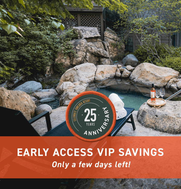Early Access VIP Savings End Soon!