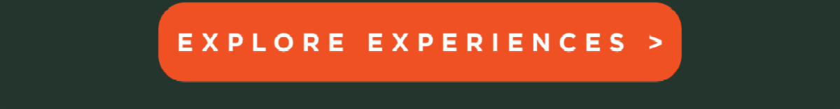 Explore experiences