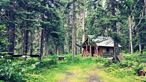 A secluded cabin in the woods.