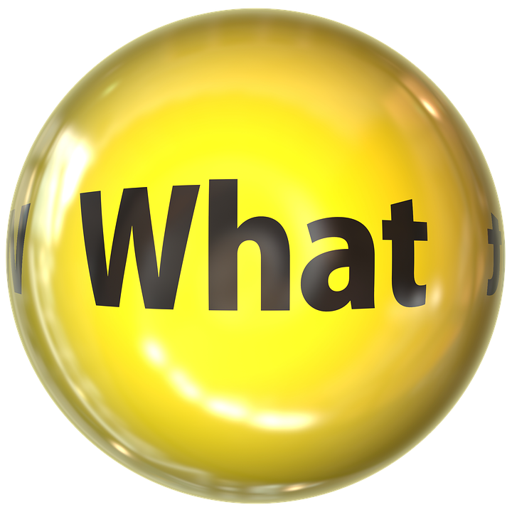 WHAT 1.png