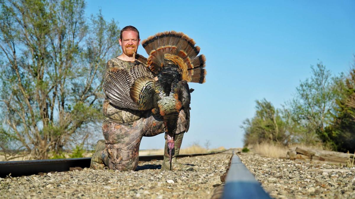 Draw Top-Tier, Limited-Entry Elk Licenses + Featured Trips