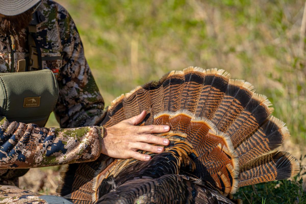The Most Affordable Sheep and Goat Hunting & Featured Hunts