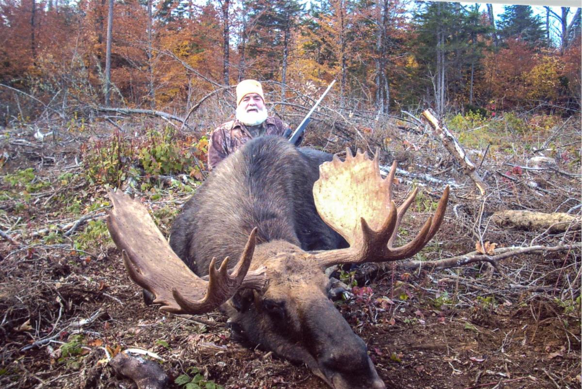 Reminder Hunting Moose in Maine + Featured Hunts