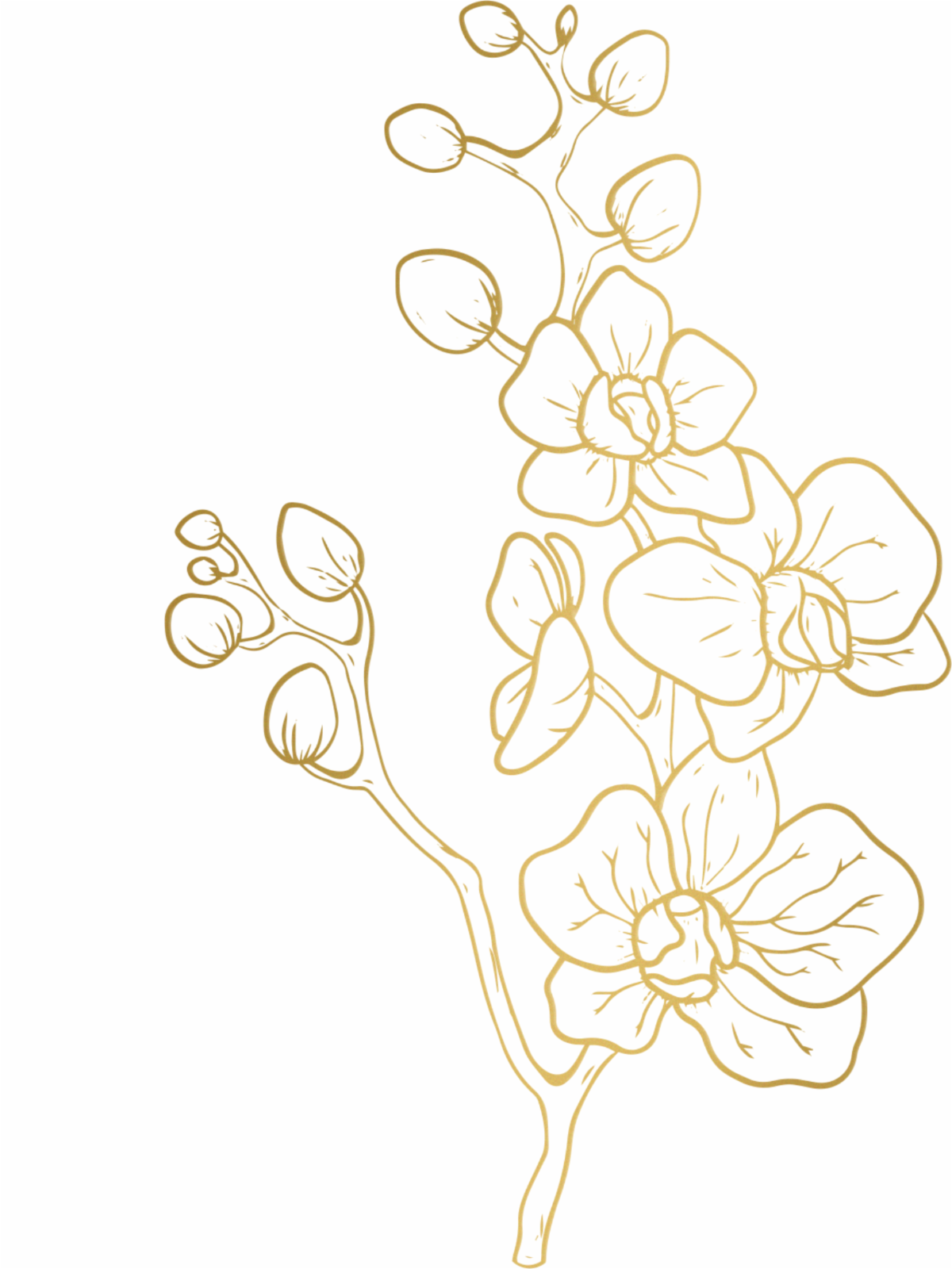 Untitled Design