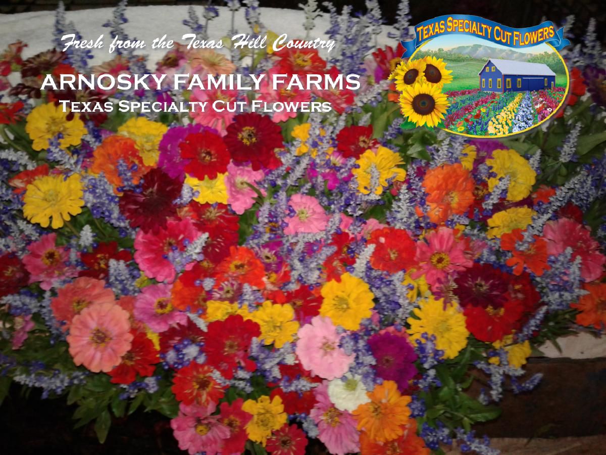 Visit Blanco Texas June 2