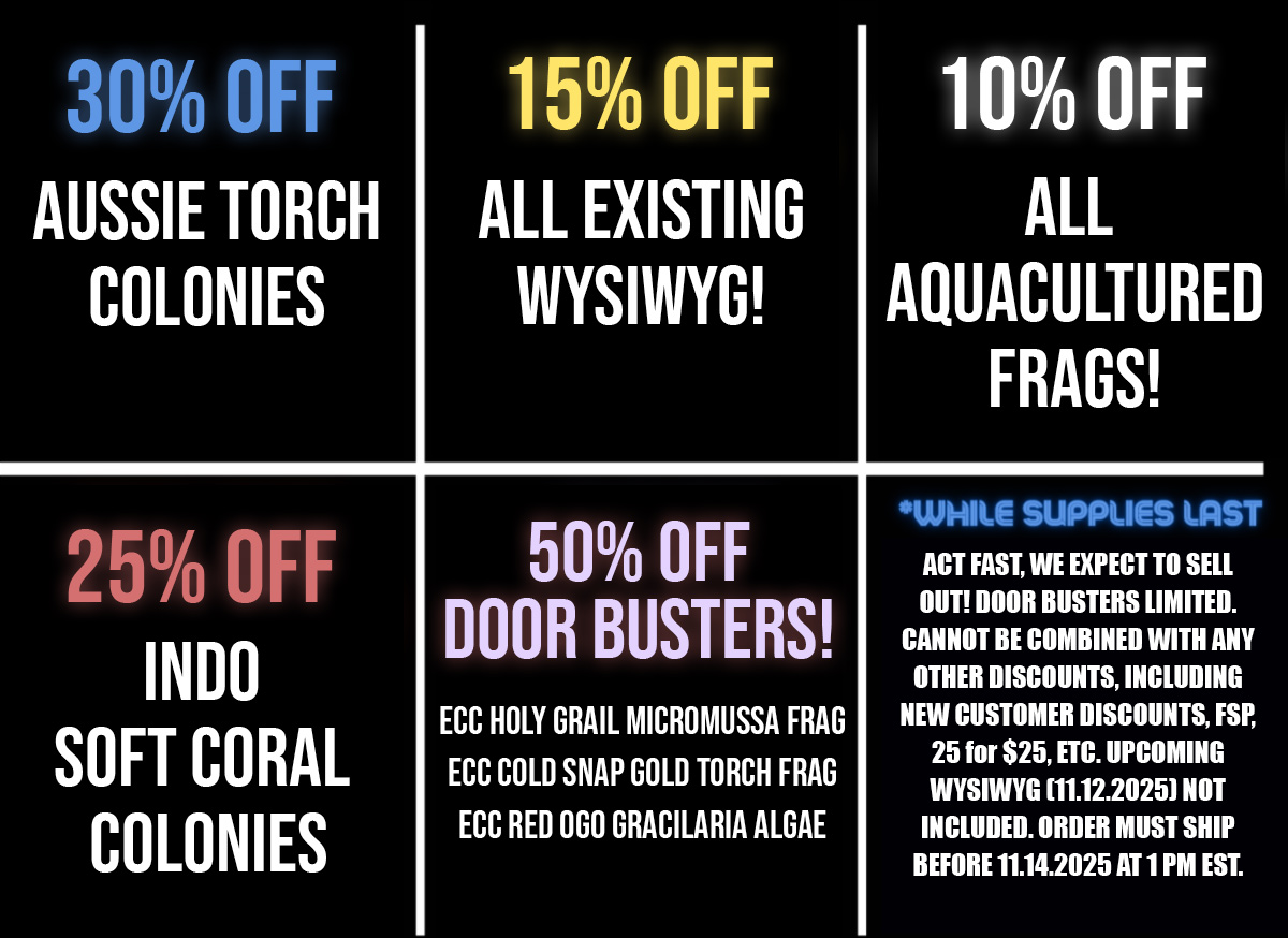 Pre-Black Friday Sale!