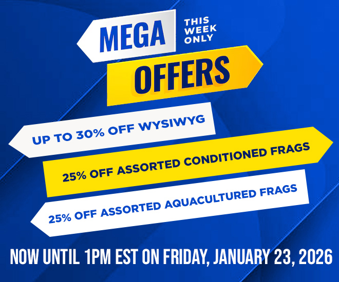 Mega Offers - This Week Only!