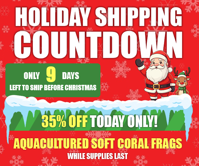 9 Days to Ship Before the Holidays!
