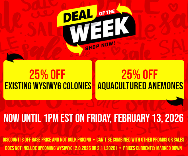 Deal of the Week!