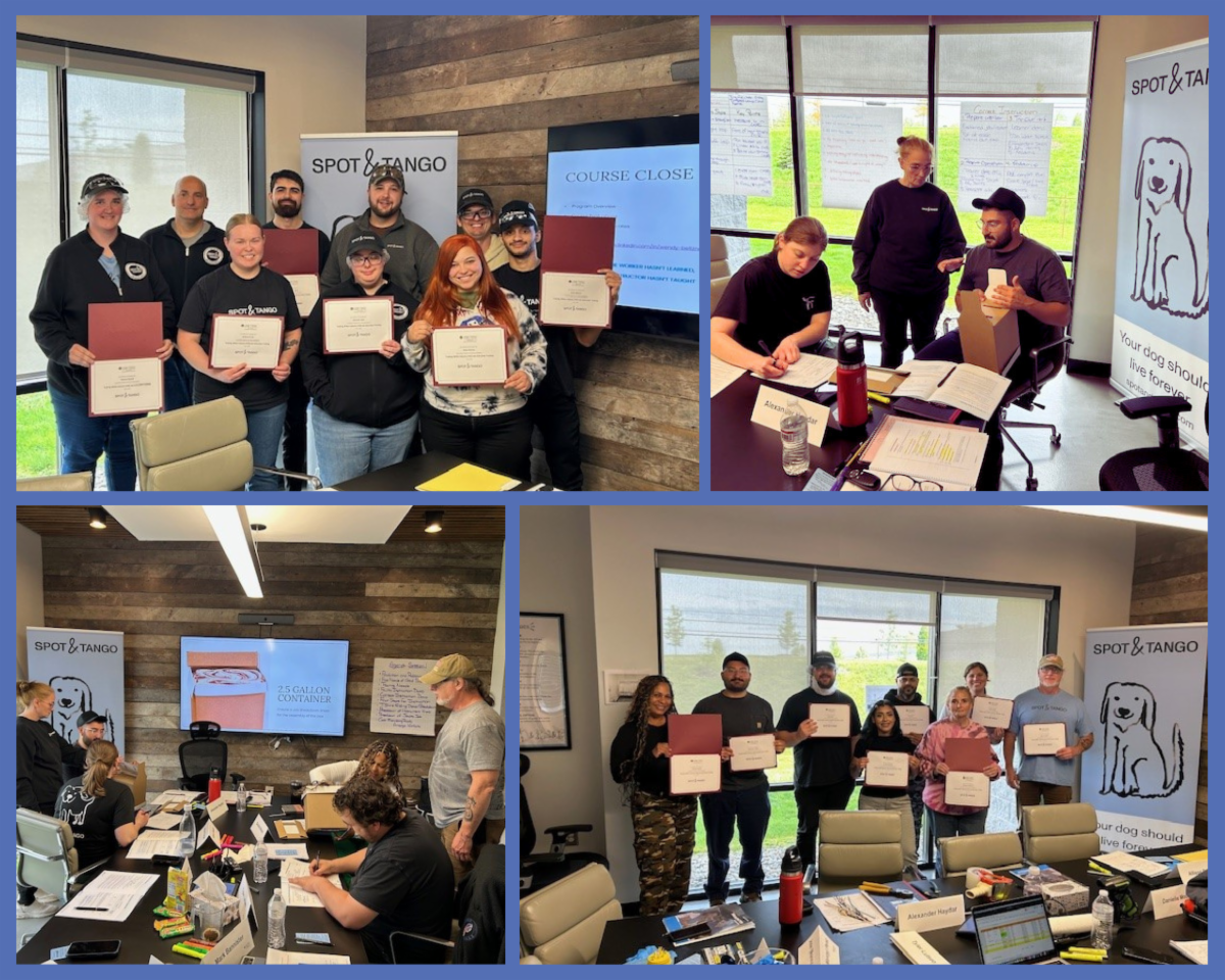 A four-image photo collage showcasing the workforce training program. The top-left shows a group of participants holding completion certificates, the top-right shows instructors presenting in front of a white board, the bottom-left captures employees engaged in a hands-on training workshop, and the bottom-right shows an active group learning session inside a classroom.