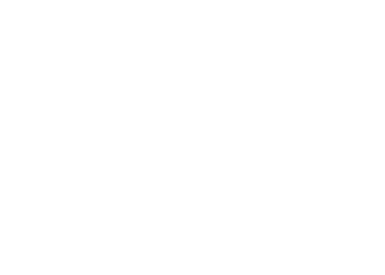 White Logo Outlines