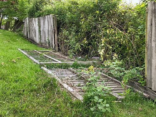 broken wooden fence on the ground in grass