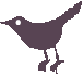 twitter bird