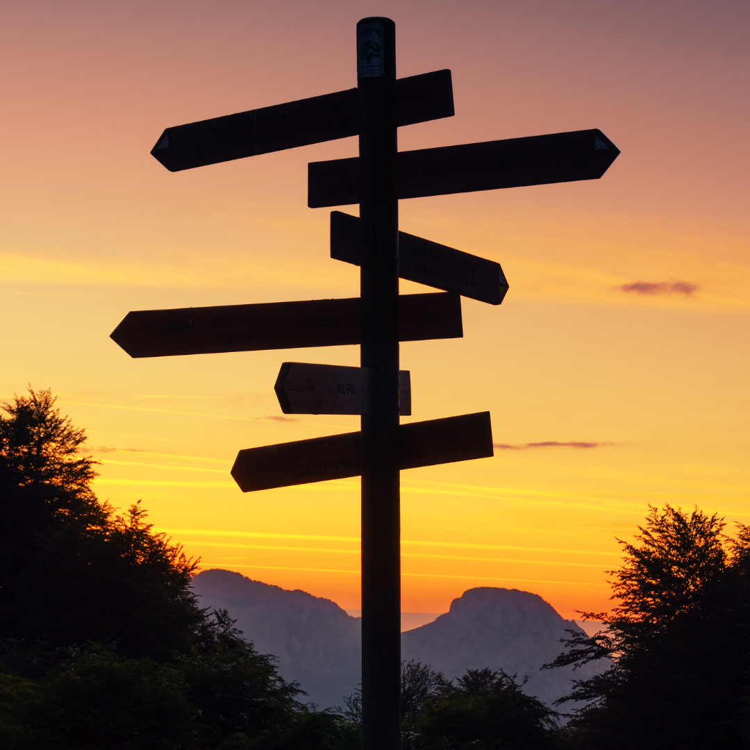 Silhouette of a multi-directional signpost against a colorful sunset sky, with mountains and trees in the background, symbolizing choice, direction, and many possible paths forward.