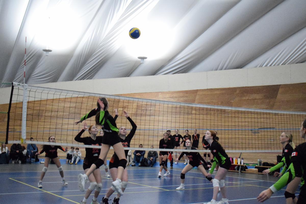 VBC General Newsletter - January 2026