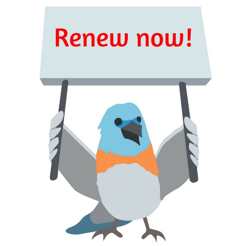 Renew now !