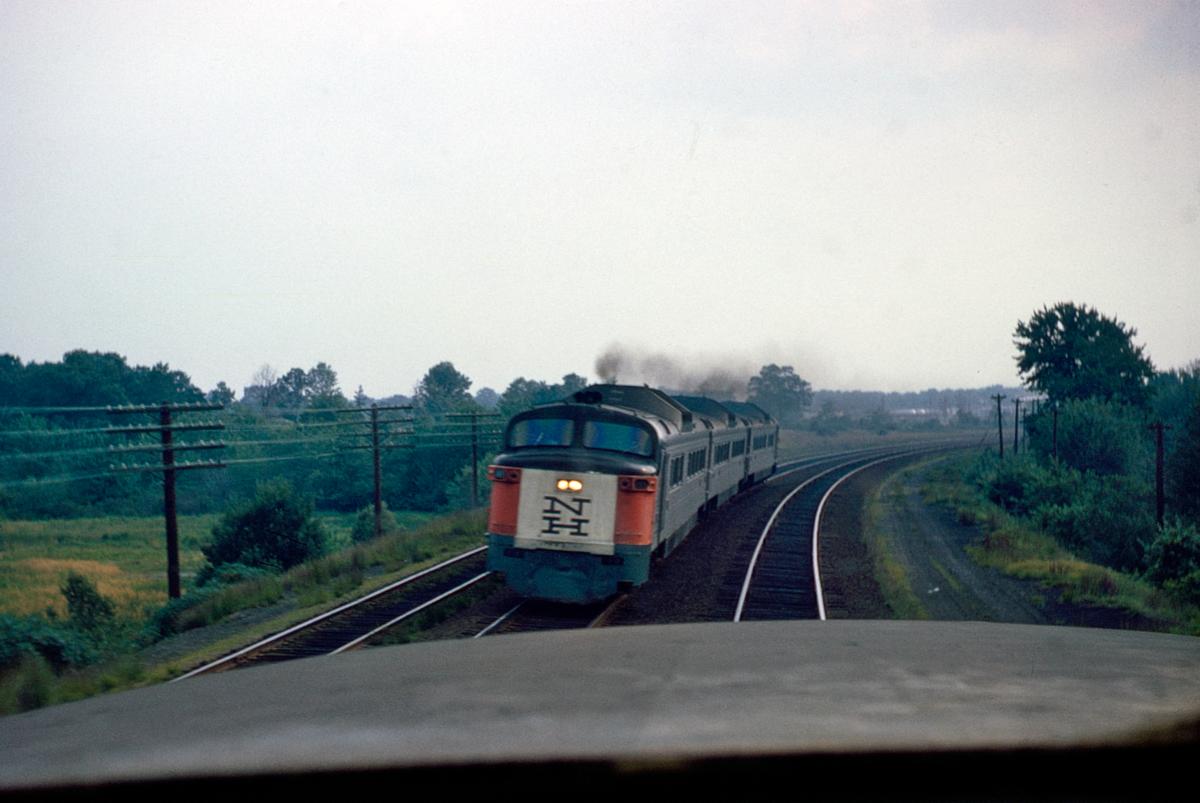 Rapido Roger Williams