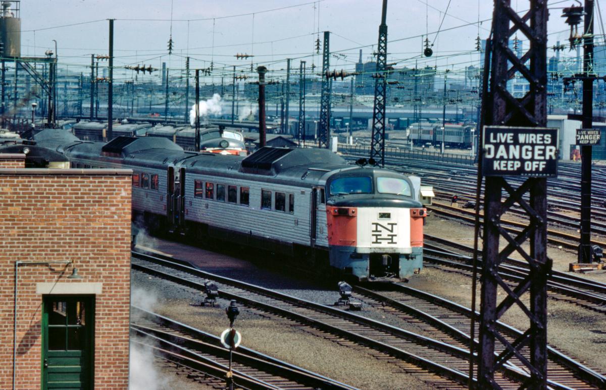Rapido Roger Williams