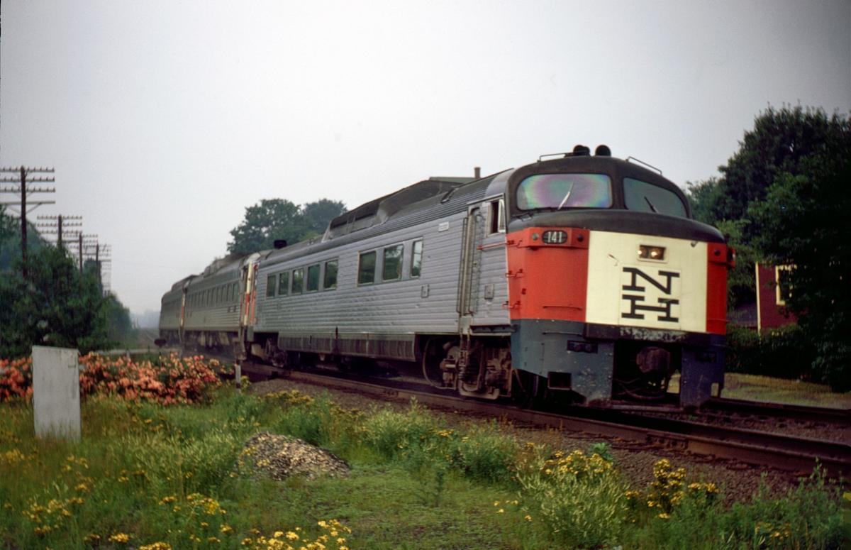 Rapido Roger Williams