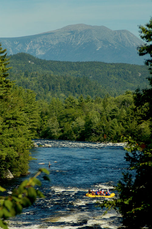 Katahdin Vertical troublemaker shot