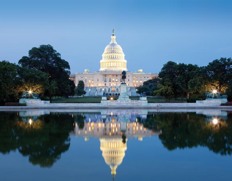 Capitol Reflection