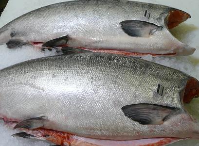 copper river kings