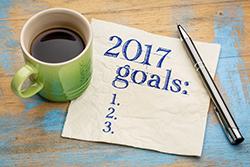 2017 Goals Graphic