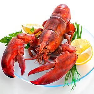 Lobster_
