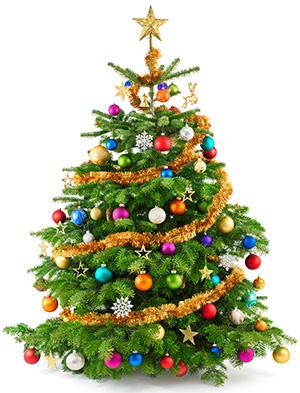 Christmas Tree