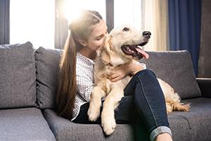 Dog Cuddle