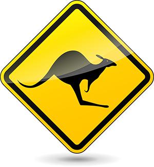 Kangaroo Crossing