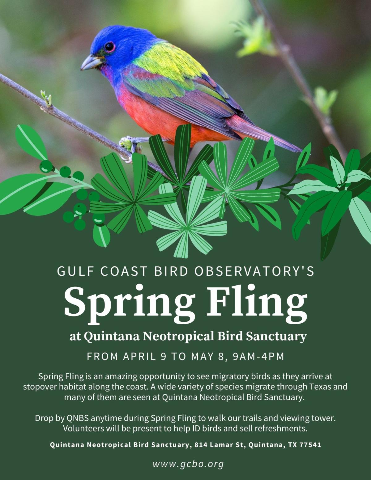 Gulf Coast Bird Observatory April 2022 ENews