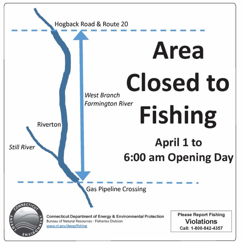 Your CT Fishin 39 Tips is here - 1a664126 73e7 45e7 8ec5 908b64faf26c 