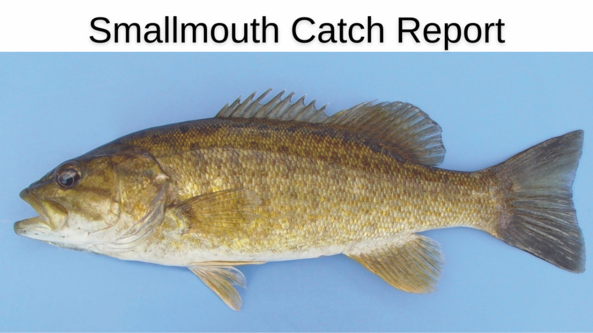 The latest fishing news for you