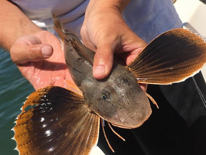 Your CT Fishin Tips Is Here Your CT Fishin Tips Is Here