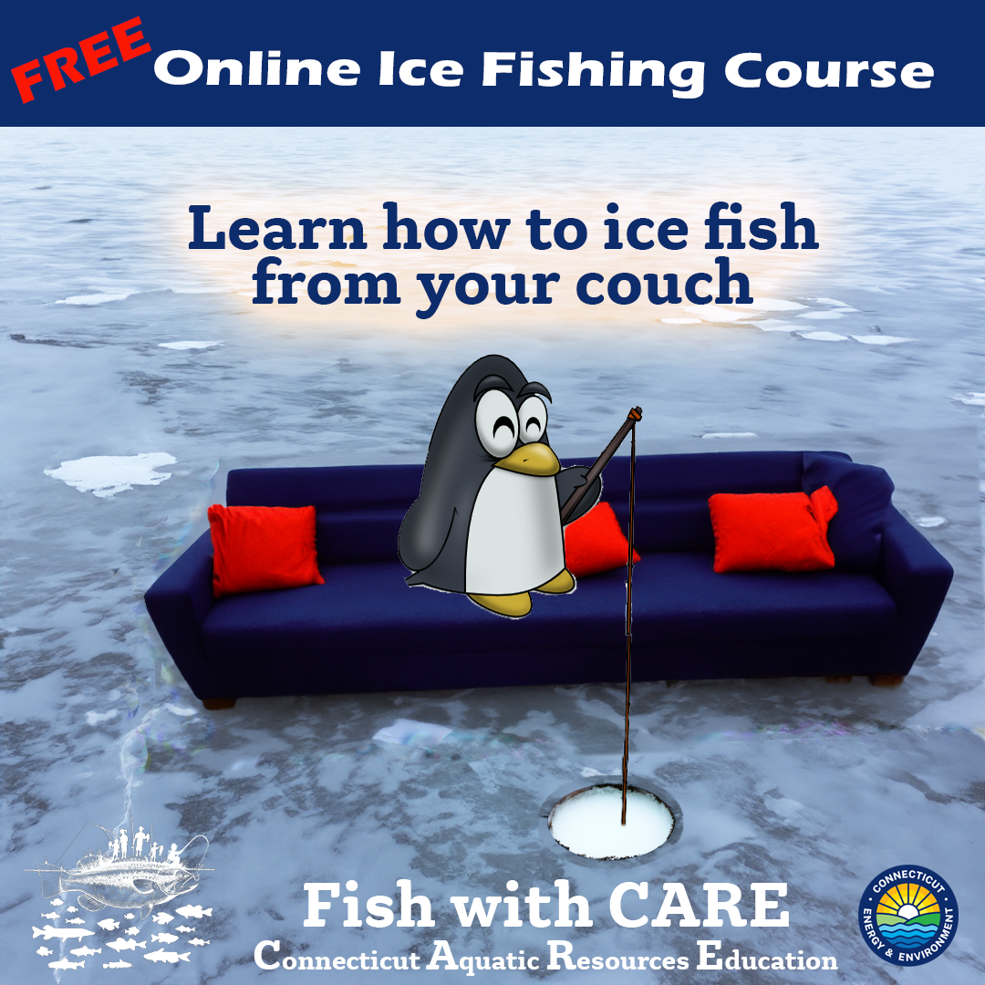 The latest fishing news for you