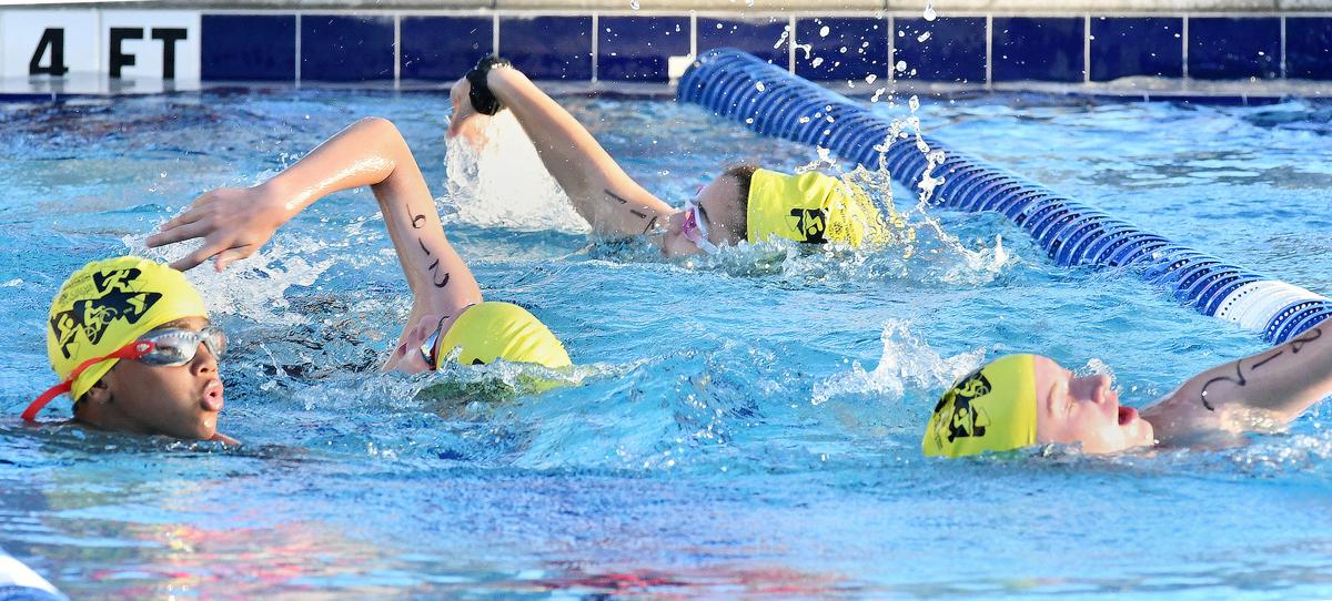 ymcatri-swim.jpg