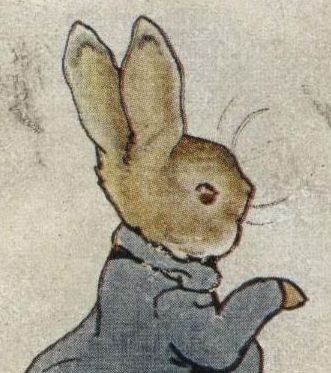 the-tale-of-peter-rabbit-beatrix-potter-cover.jpg