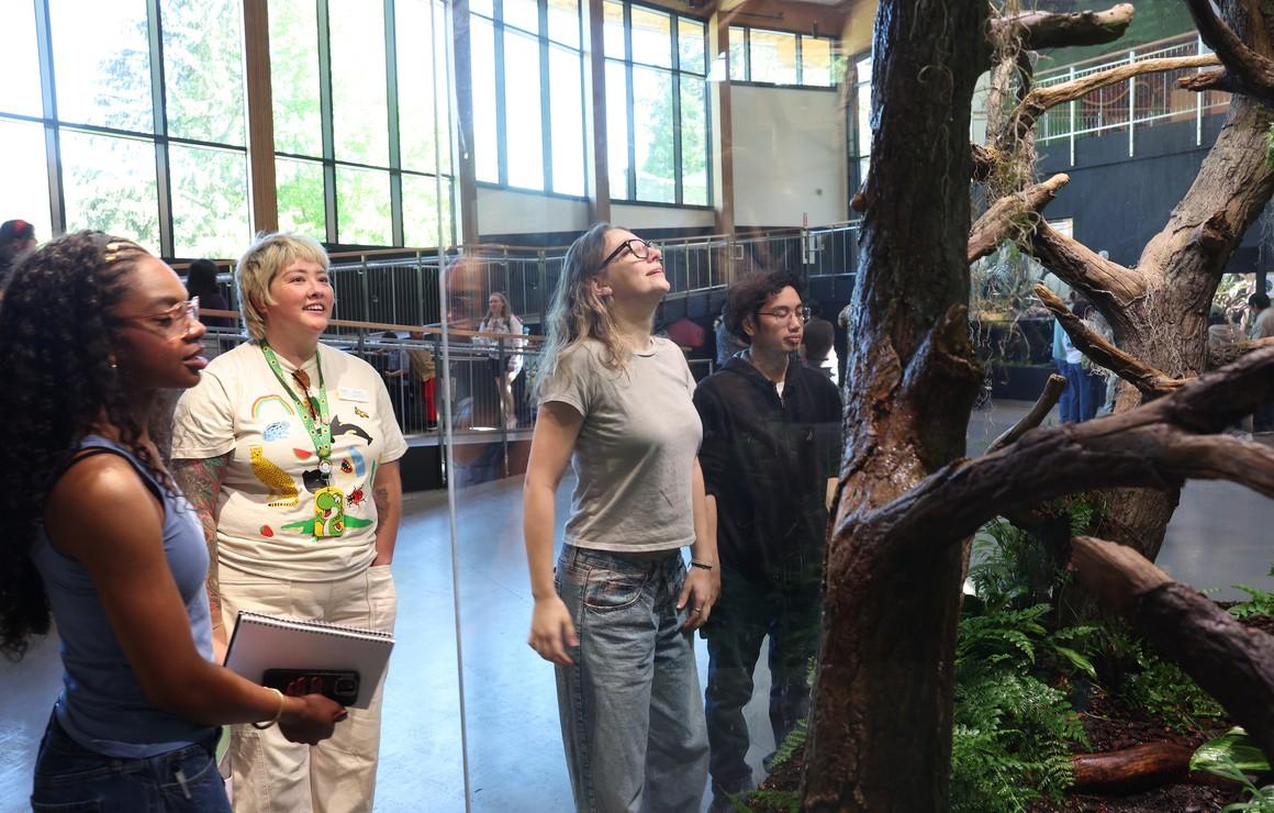 Seattle University students at Woodland Park Zoo working on their project.