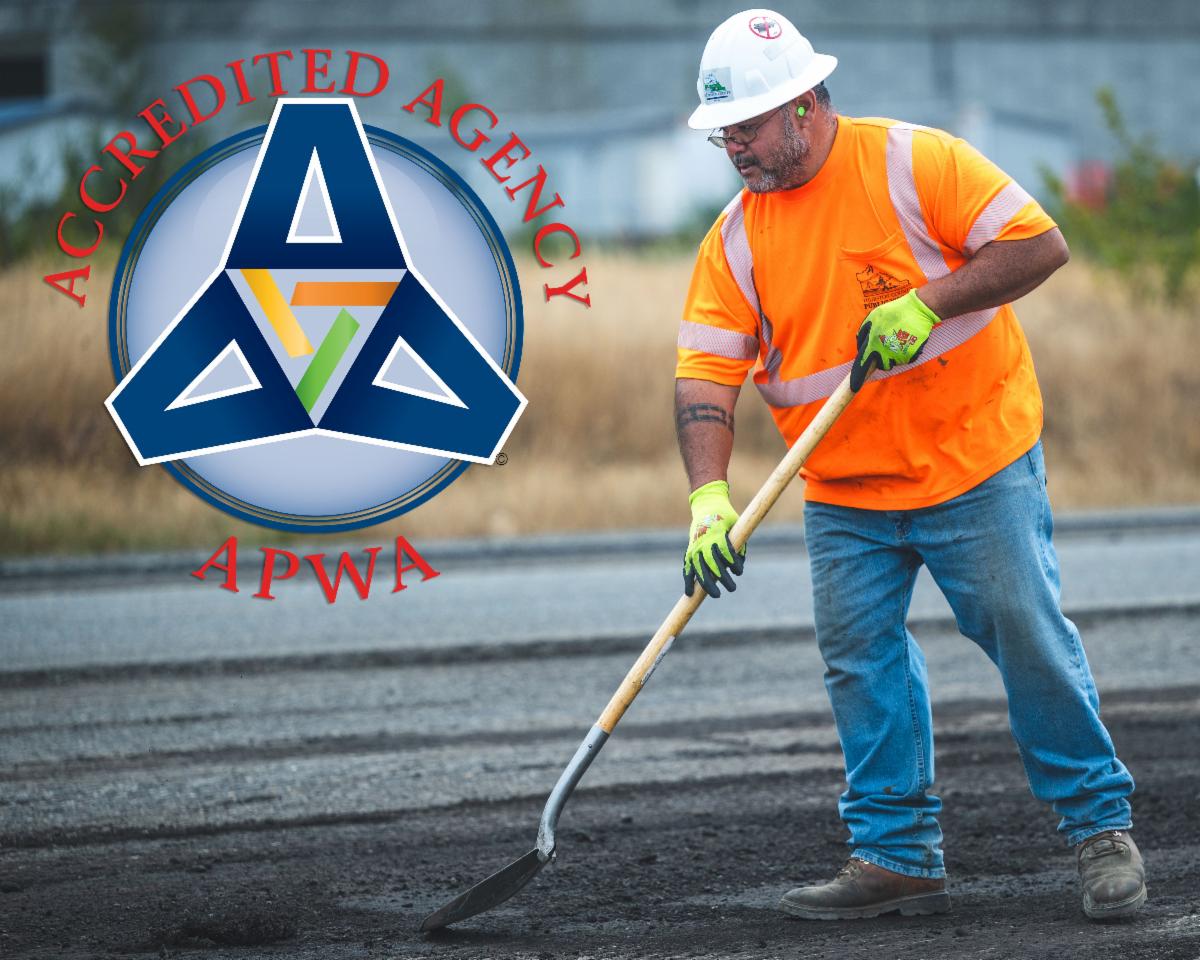 Friday Five Newsletter