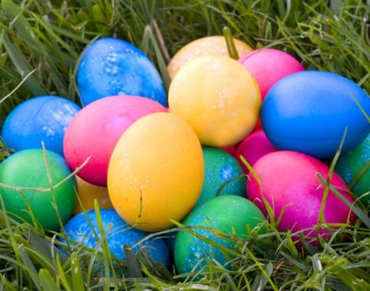 eggs_on_grass.jpg