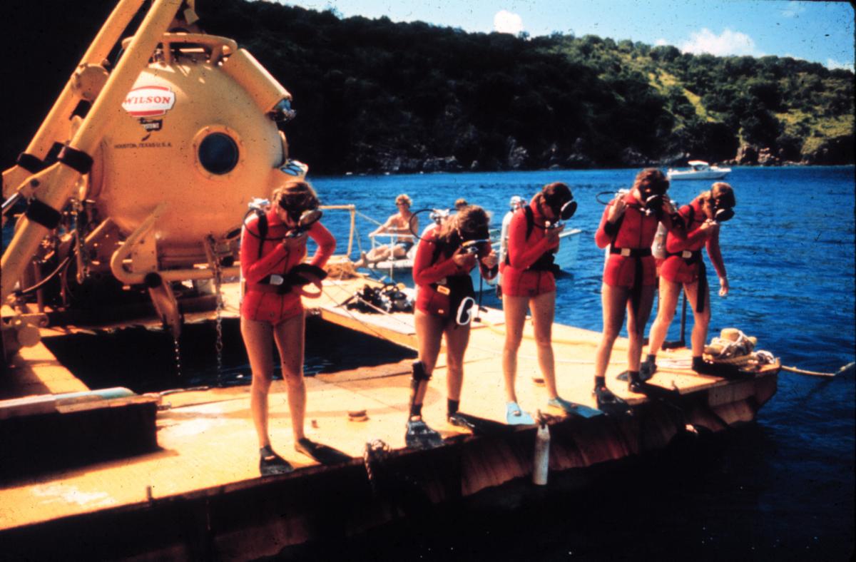 5 women prepare to dive into water from a platform