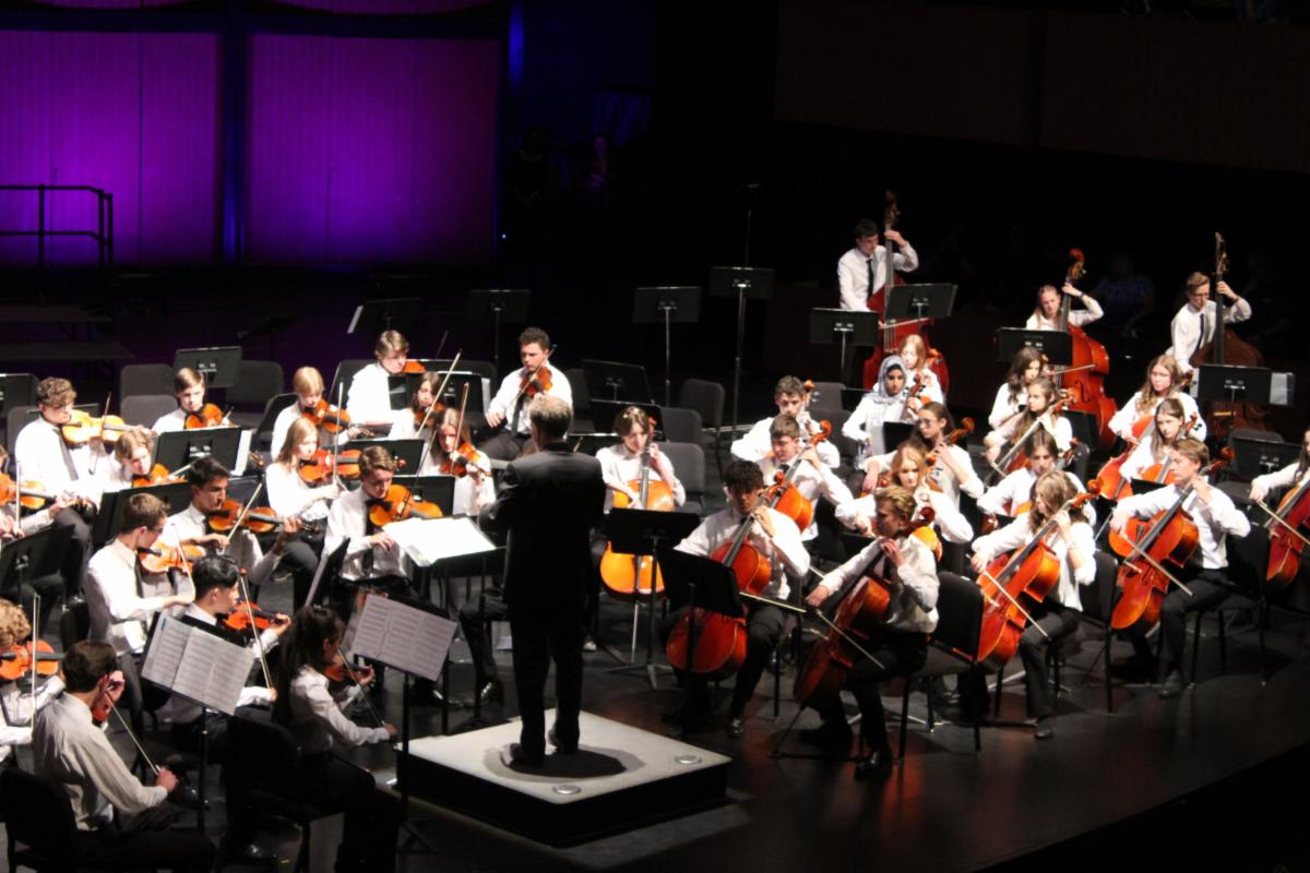 Orchestra playing at Spring Fine Arts Night