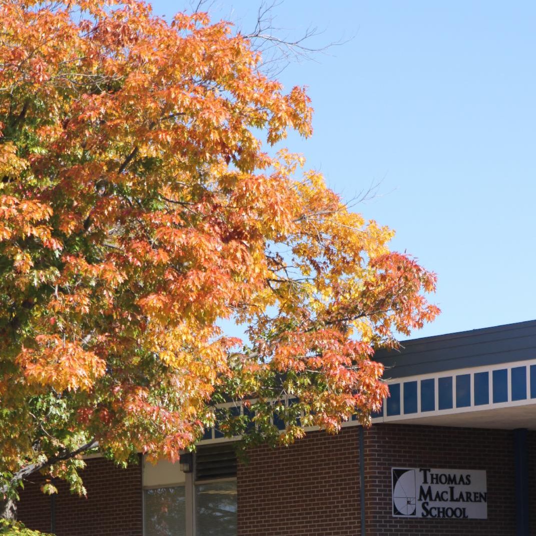 Tree in fall colors in front of the school building