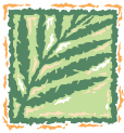 Palm Branch