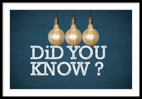 Light bulbs with DID YOU KNOW text on blue chalk board _ business concept _ business idea