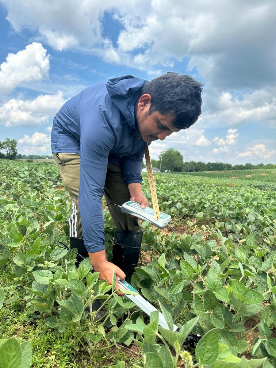 Soybean Research