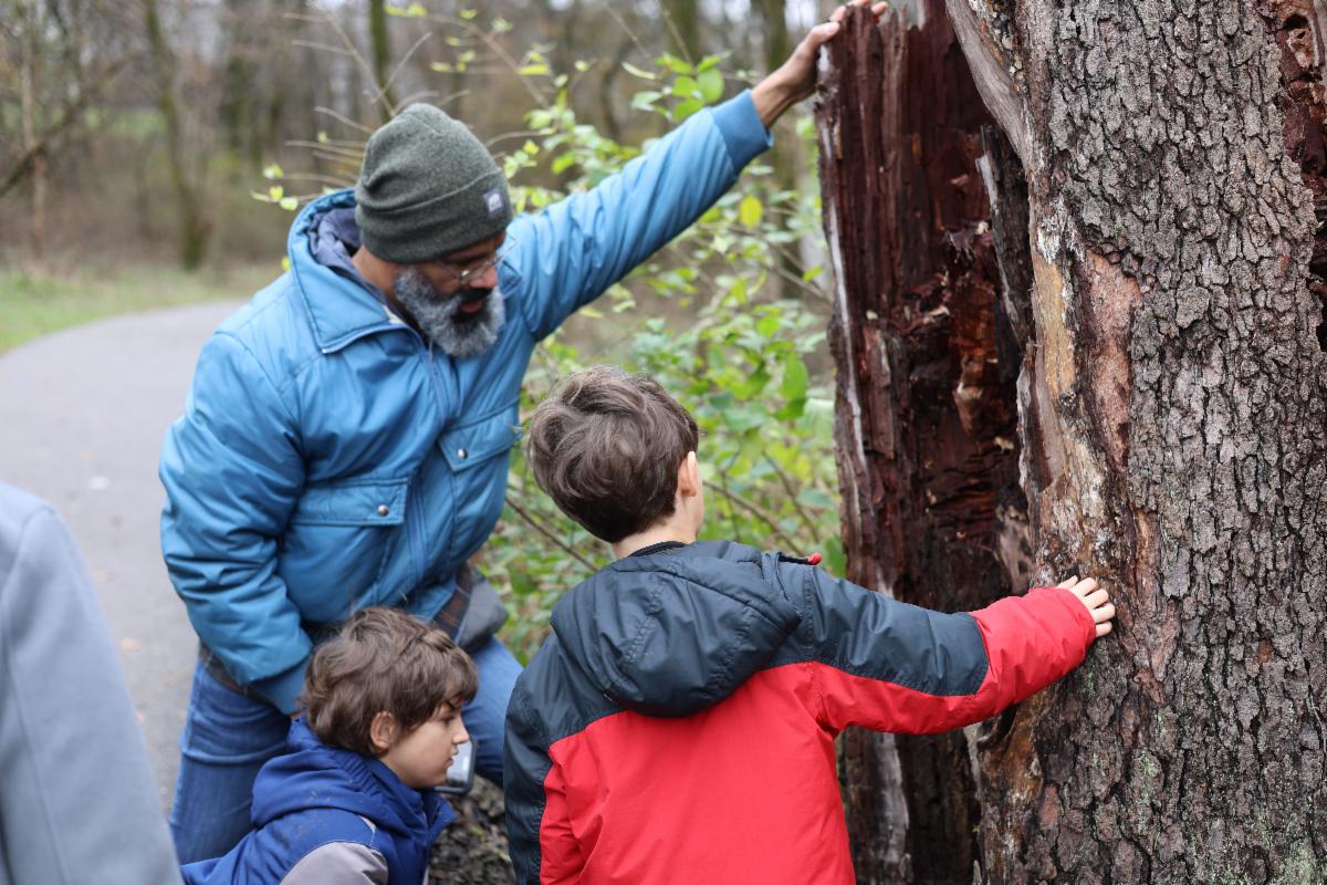 KSU Awarded Tree Campus Jumpstart Stipend