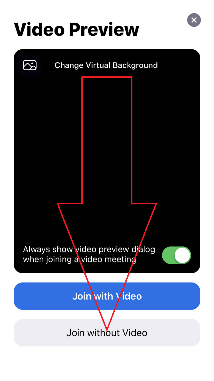 Stepbystep Instructions for Accessing LCBA's Zoom Room